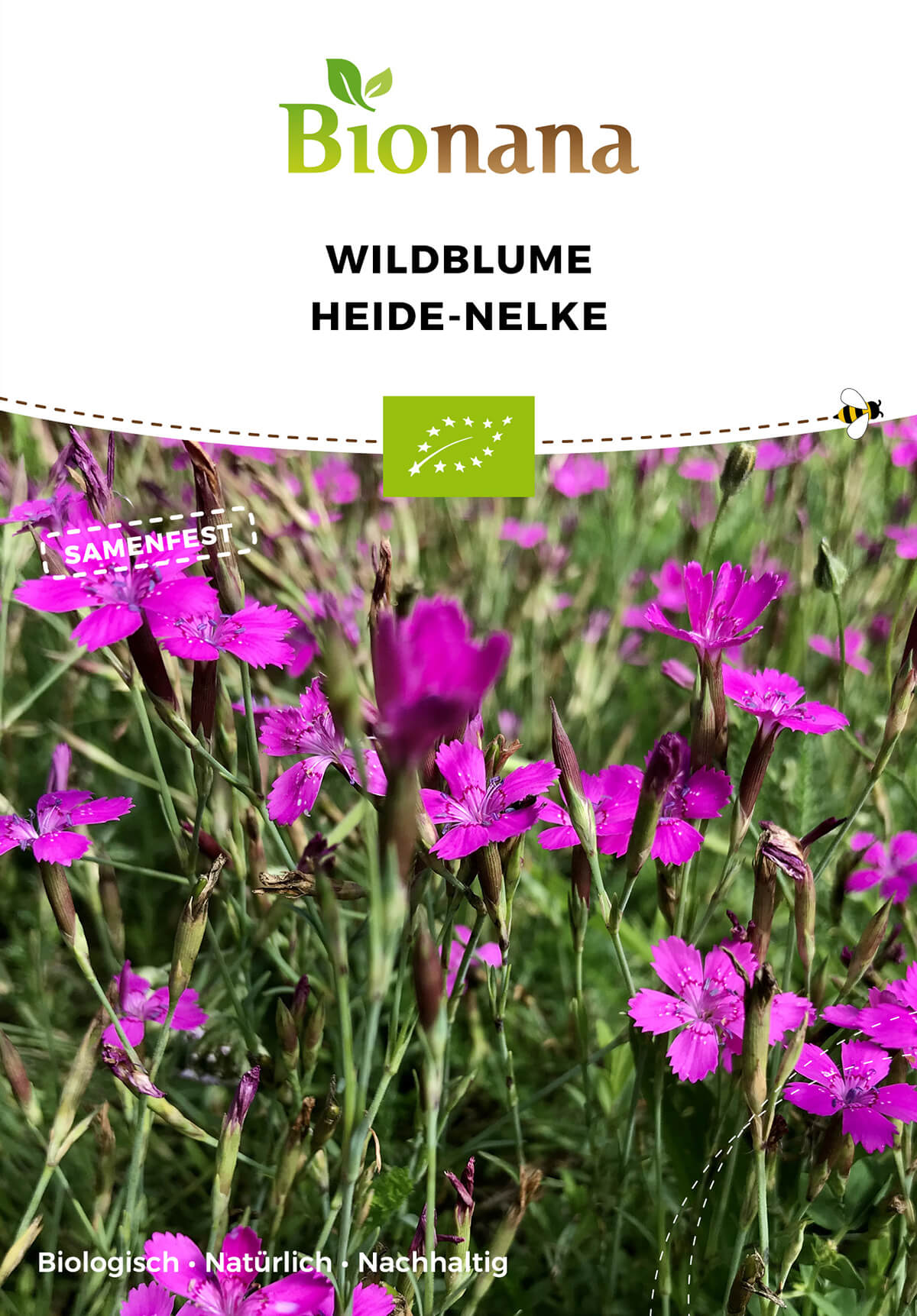 Artikelbild 1 von "BIO Wildblume Heide-Nelke" aus der Kategorie Wildblumensamen
