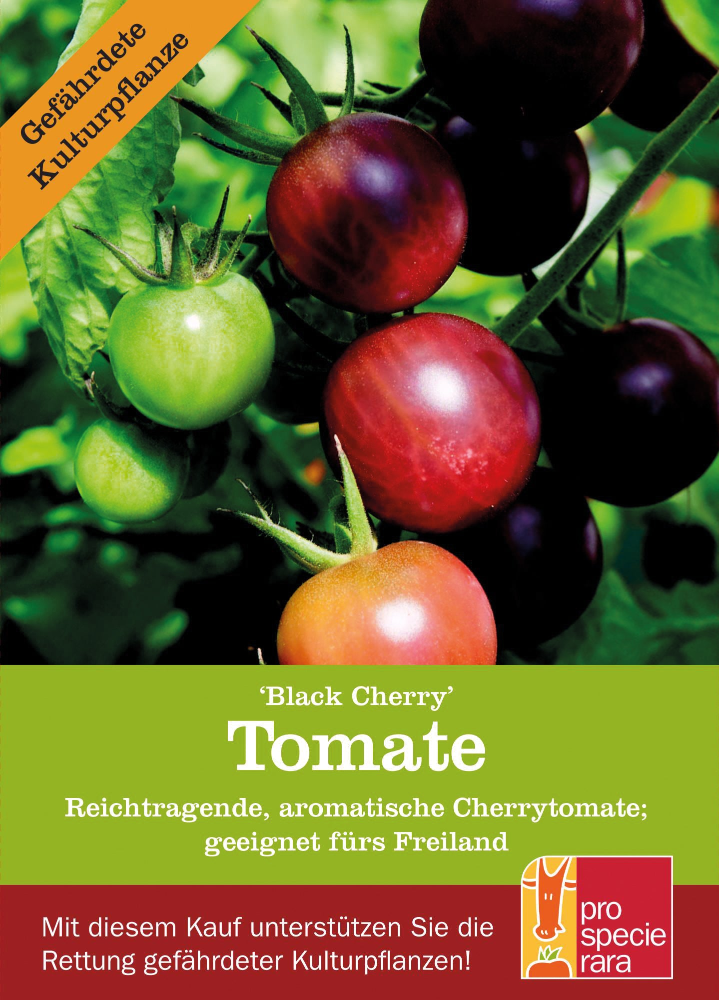 Artikelbild 1 von "BIO Cherrytomate Black Cherry" aus der Kategorie Kirschtomatensamen