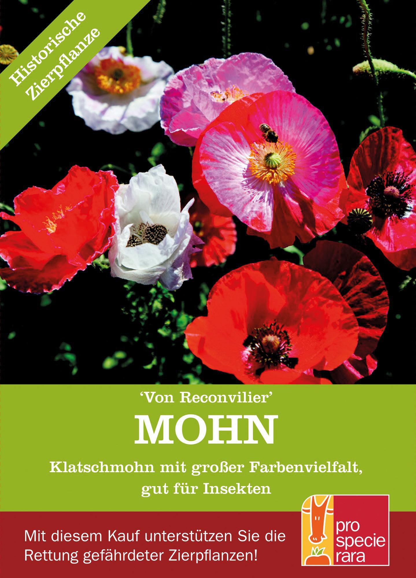 Artikelbild 1 von "BIO Mohn Von Reconvilier bunt" aus der Kategorie Mohnsamen