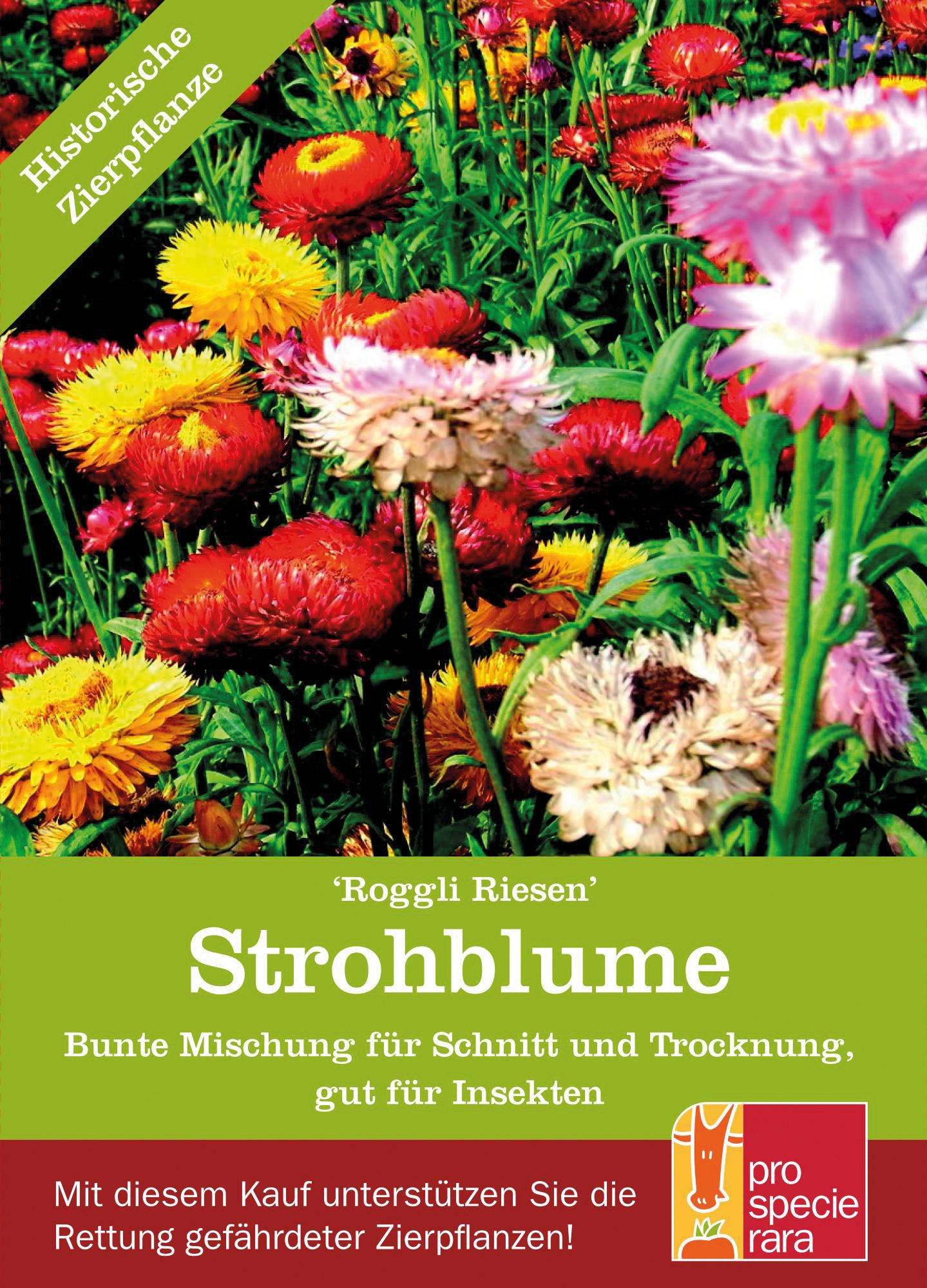 Artikelbild 1 von "BIO Strohblume Roggli Riesen [MHD 12/2024]" aus der Kategorie Strohblumensamen
