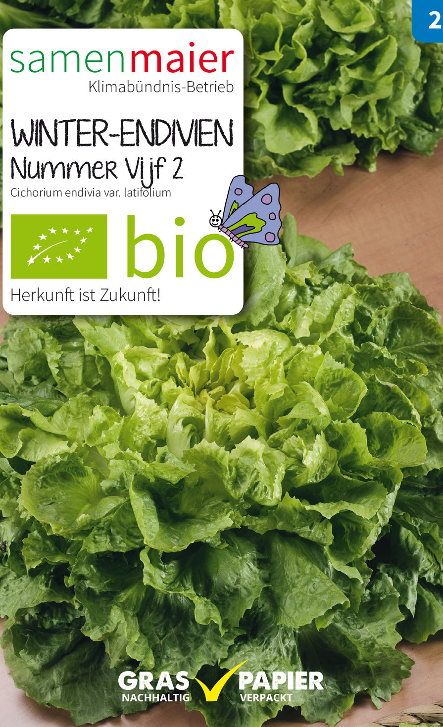 Artikelbild 1 von "BIO Winter - Endivien Bubikopf Nummer Vijf 2"