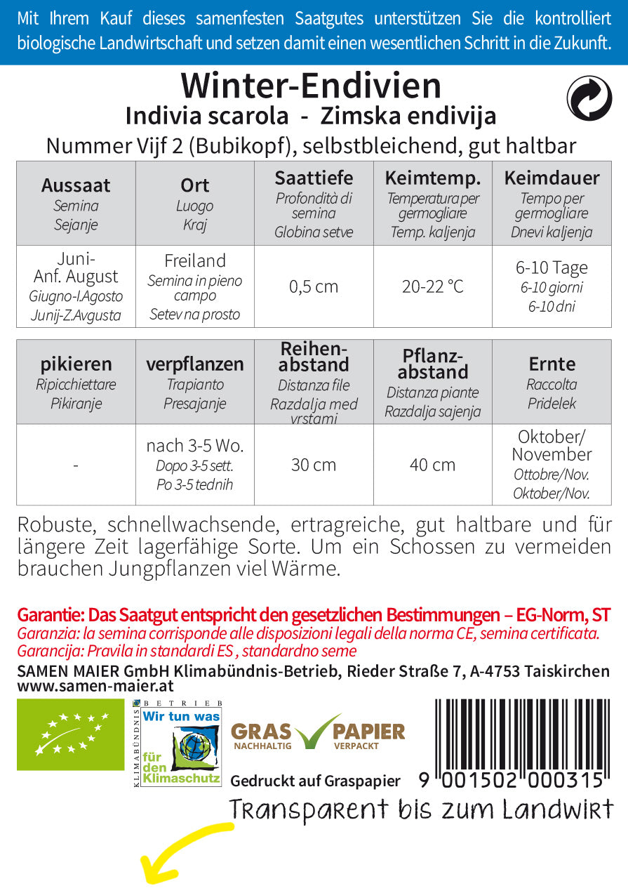 Artikelbild 2 von "BIO Winter - Endivien Bubikopf Nummer Vijf 2"