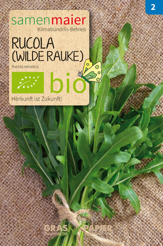 Artikelbild 1 von "BIO Rucola (mehrjährig)" aus der Kategorie Rucola- / Raukesamen