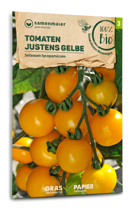 Tomate Justens Gelbe | BIO Tomatensamen von Samen Maier