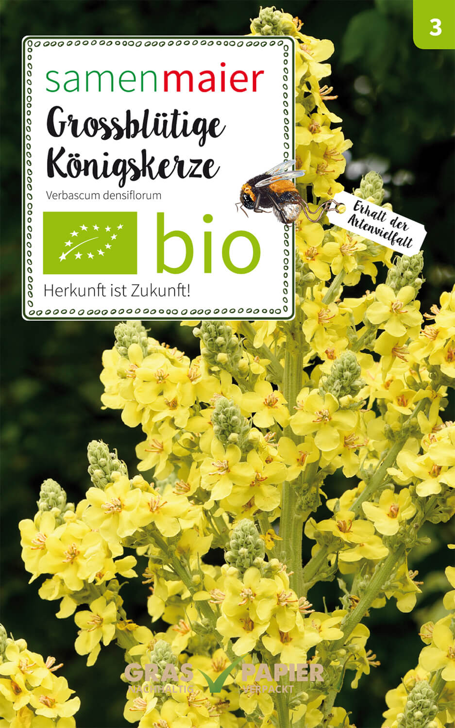 Artikelbild 1 von "BIO Wildblüte Großblütige Königskerze" aus der Kategorie Wildblumensamen