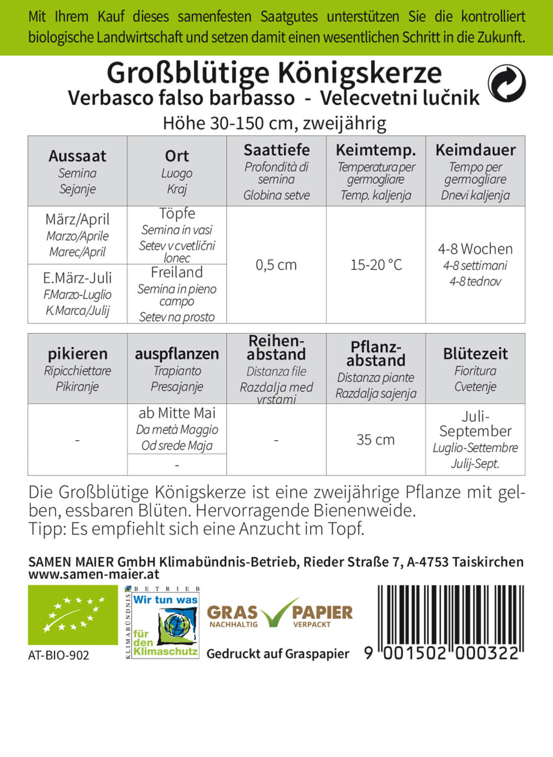 Artikelbild 2 von "BIO Wildblüte Großblütige Königskerze" aus der Kategorie Wildblumensamen