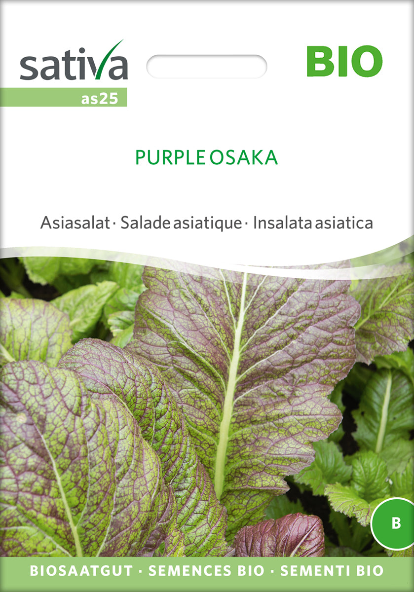 Artikelbild 1 von "BIO Asiasalat Purple Osaka" aus der Kategorie Asiasalatsamen