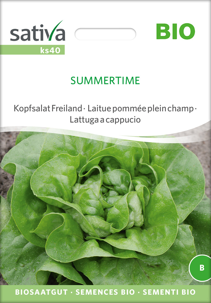 Artikelbild 1 von "BIO Kopfsalat Summertime" aus der Kategorie Kopfsalatsamen