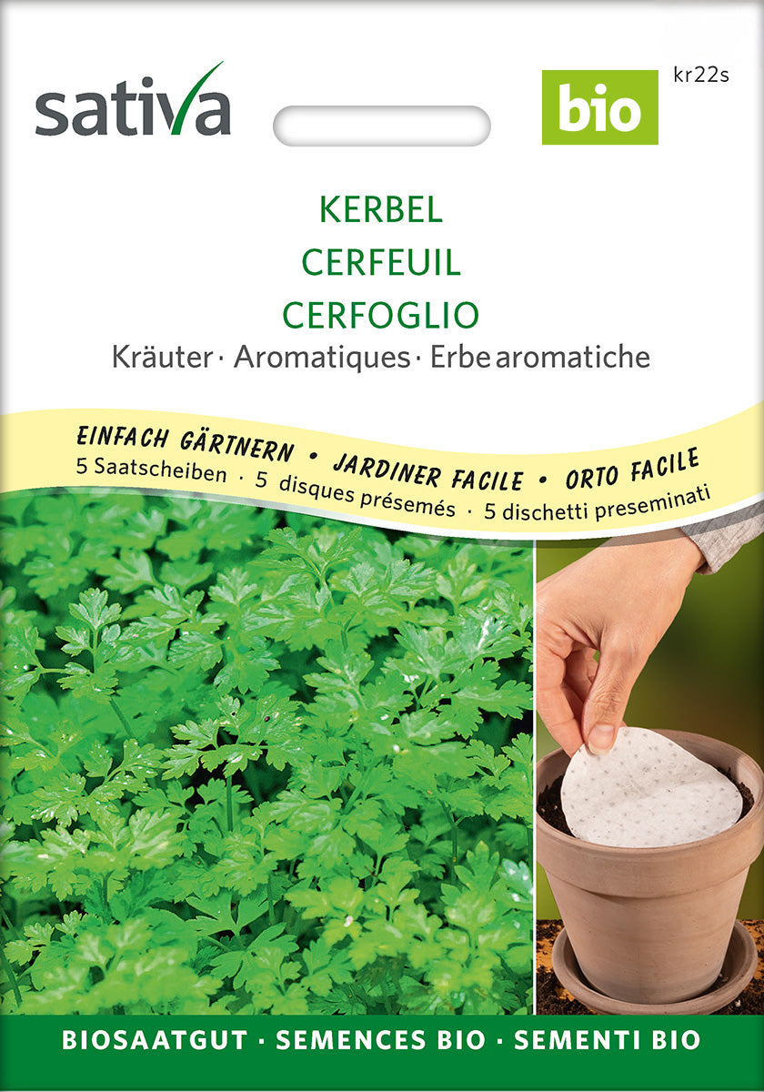 Artikelbild 2 von "BIO Kerbel 'Commun' (Saatscheiben) [MHD 12/2025]"