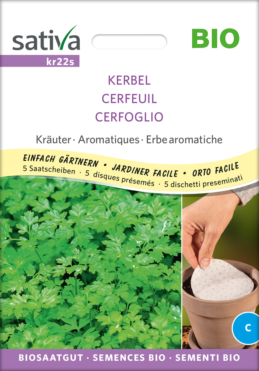 Artikelbild 1 von "BIO Kerbel (Saatscheibe) [MHD 12/2025]"