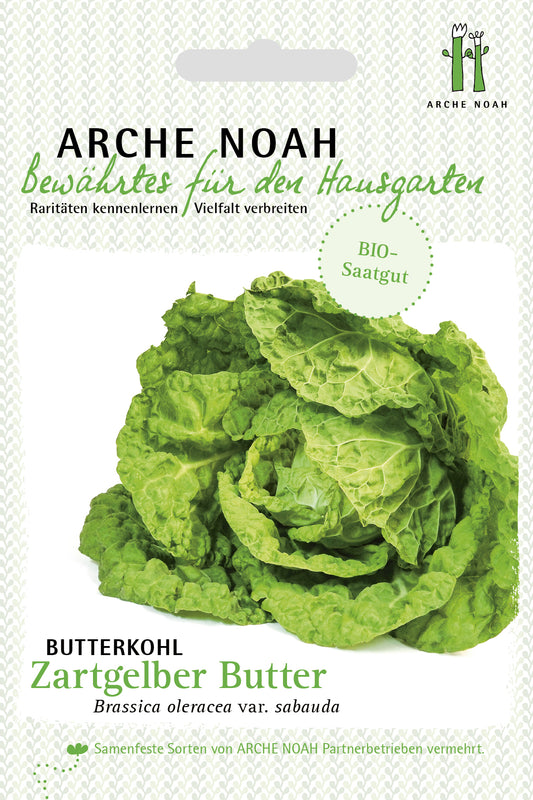 Artikelbild 1 von "BIO Butterkohl Zartgelber Butter" aus der Kategorie Kohlsamen