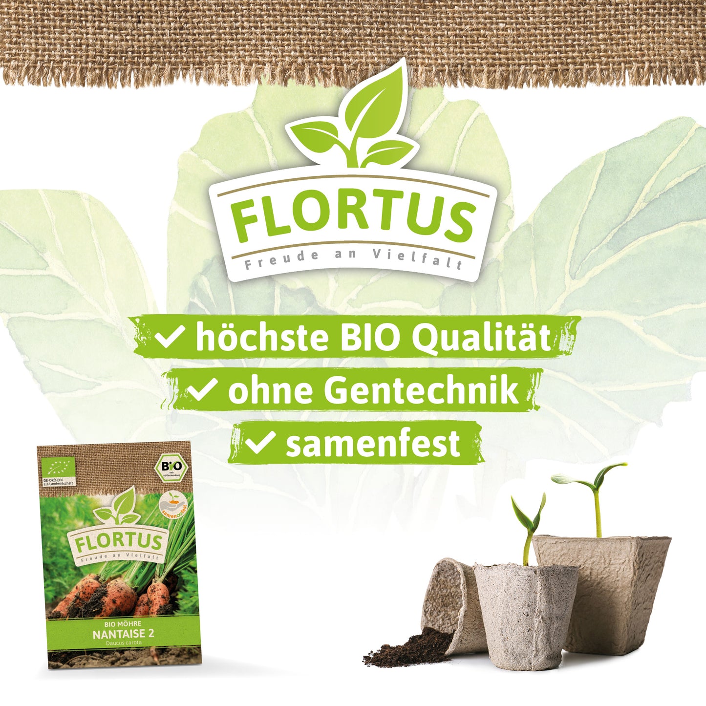 Artikelbild 3 von "BIO Möhre Nantaise 2" aus der Kategorie Möhrensamen