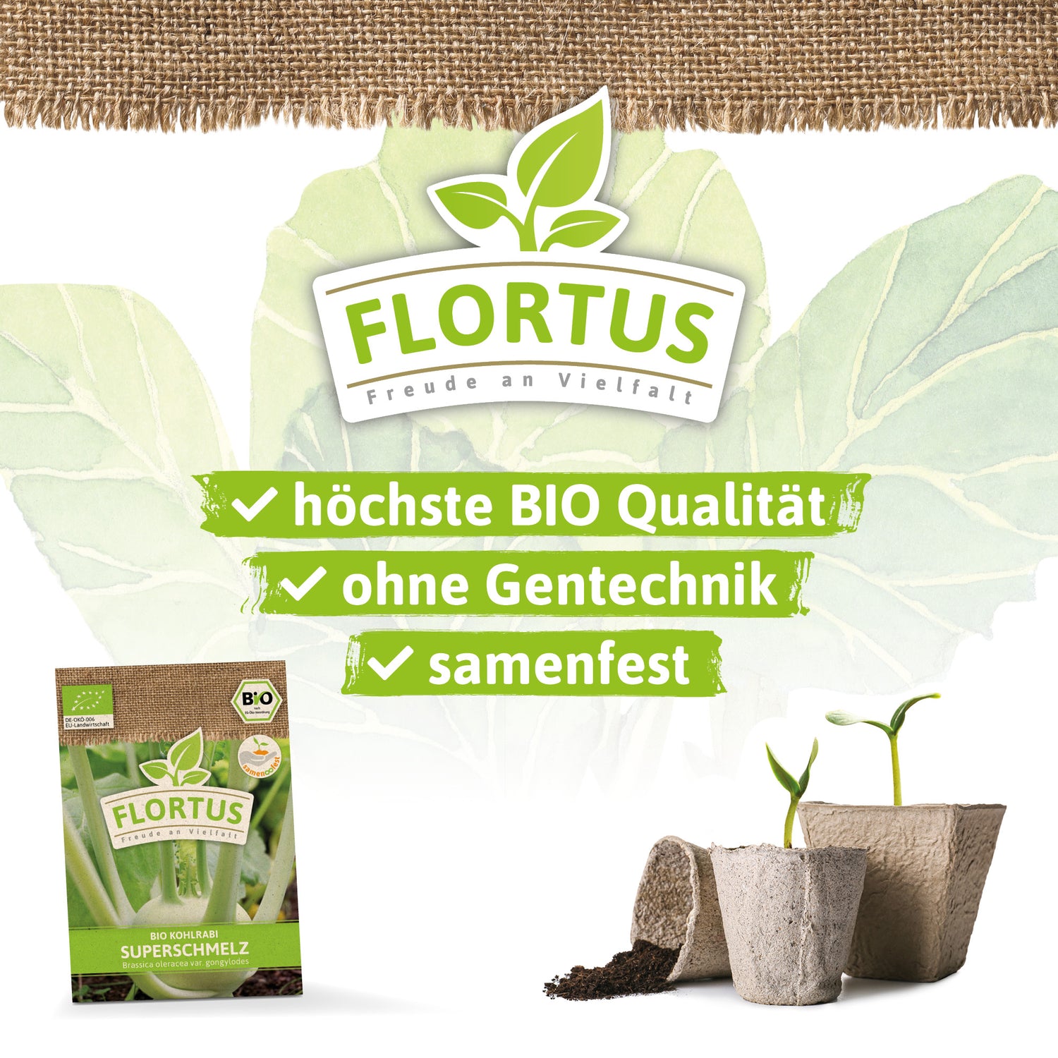 Artikelbild 3 von "BIO Kohlrabi Superschmelz" aus der Kategorie Kohlrabisamen