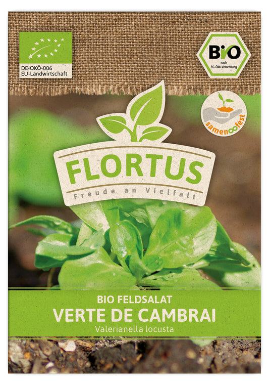 Feldsalat Verte de Cambrai | BIO Salatsamen von FLORTUS