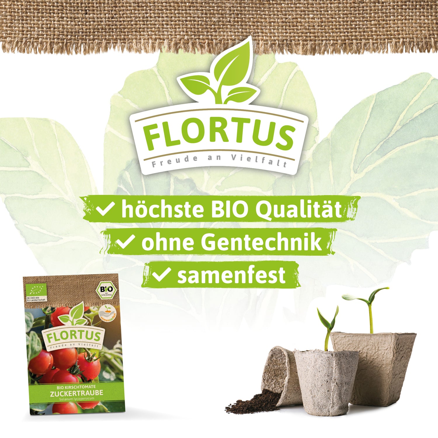 Artikelbild 3 von "BIO Kirschtomate Zuckertraube" aus der Kategorie Kirschtomatensamen