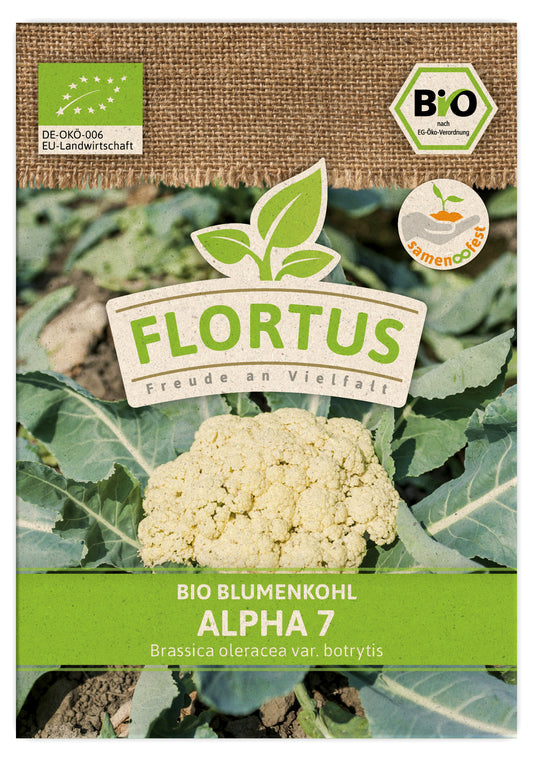 Blumenkohl Alpha 7 | BIO Kohlsamen von FLORTUS