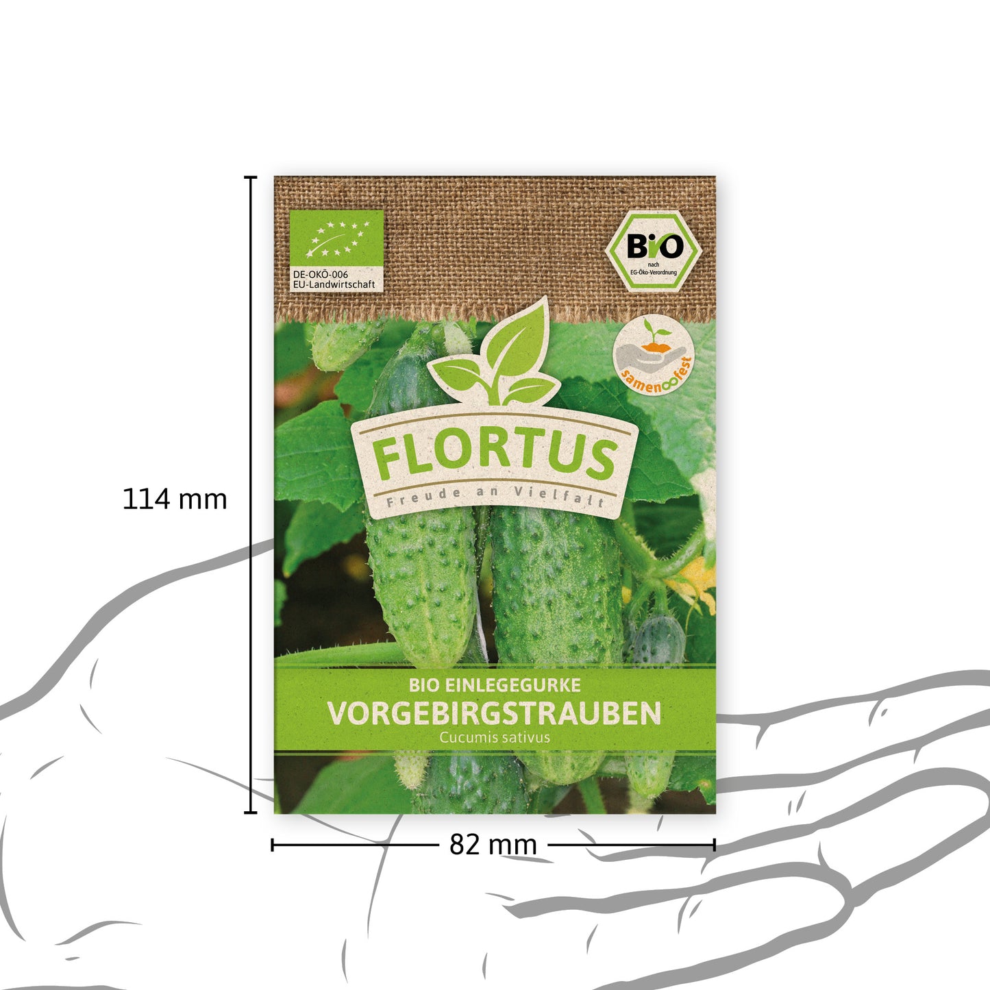 Artikelbild 4 von "BIO Einlegegurke Vorgebirgstrauben" aus der Kategorie Einlegegurkensamen