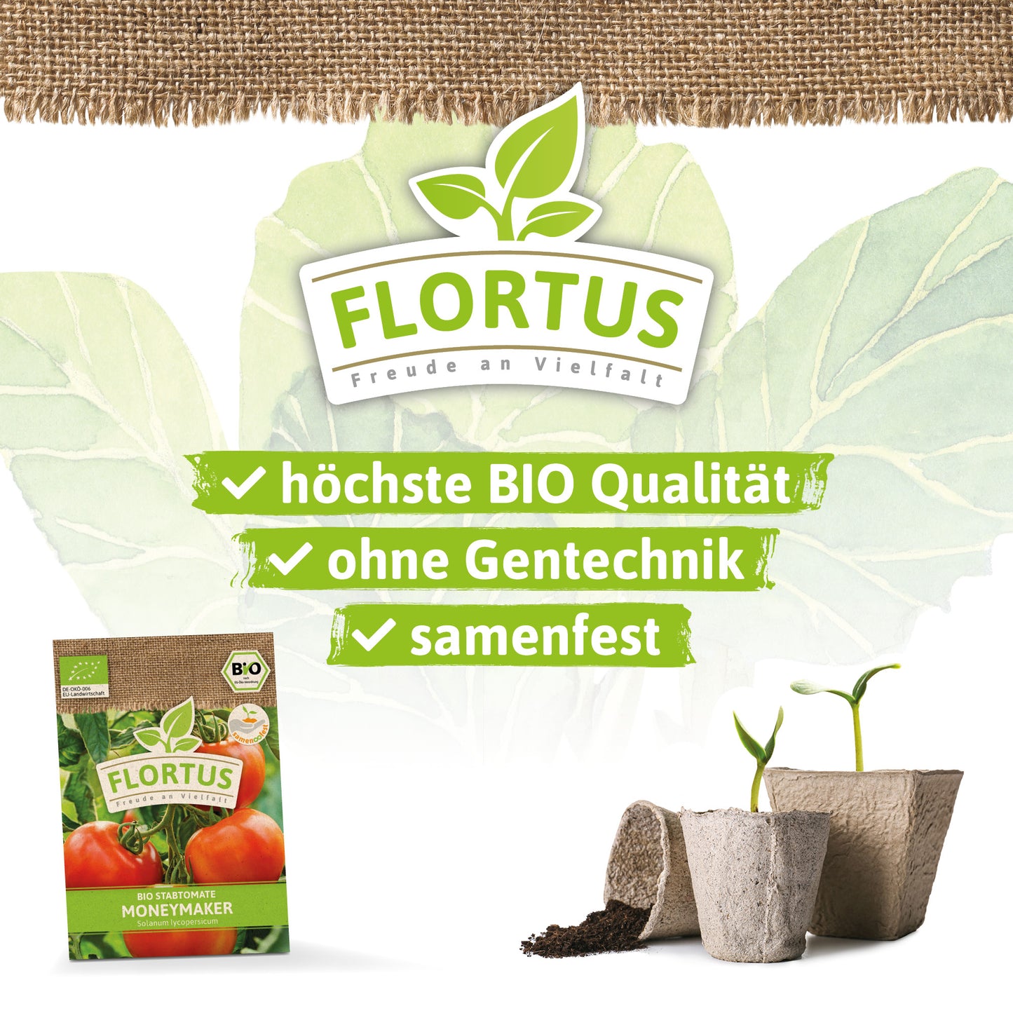 Artikelbild 3 von "BIO Tomate Moneymaker" aus der Kategorie Tomatensamen