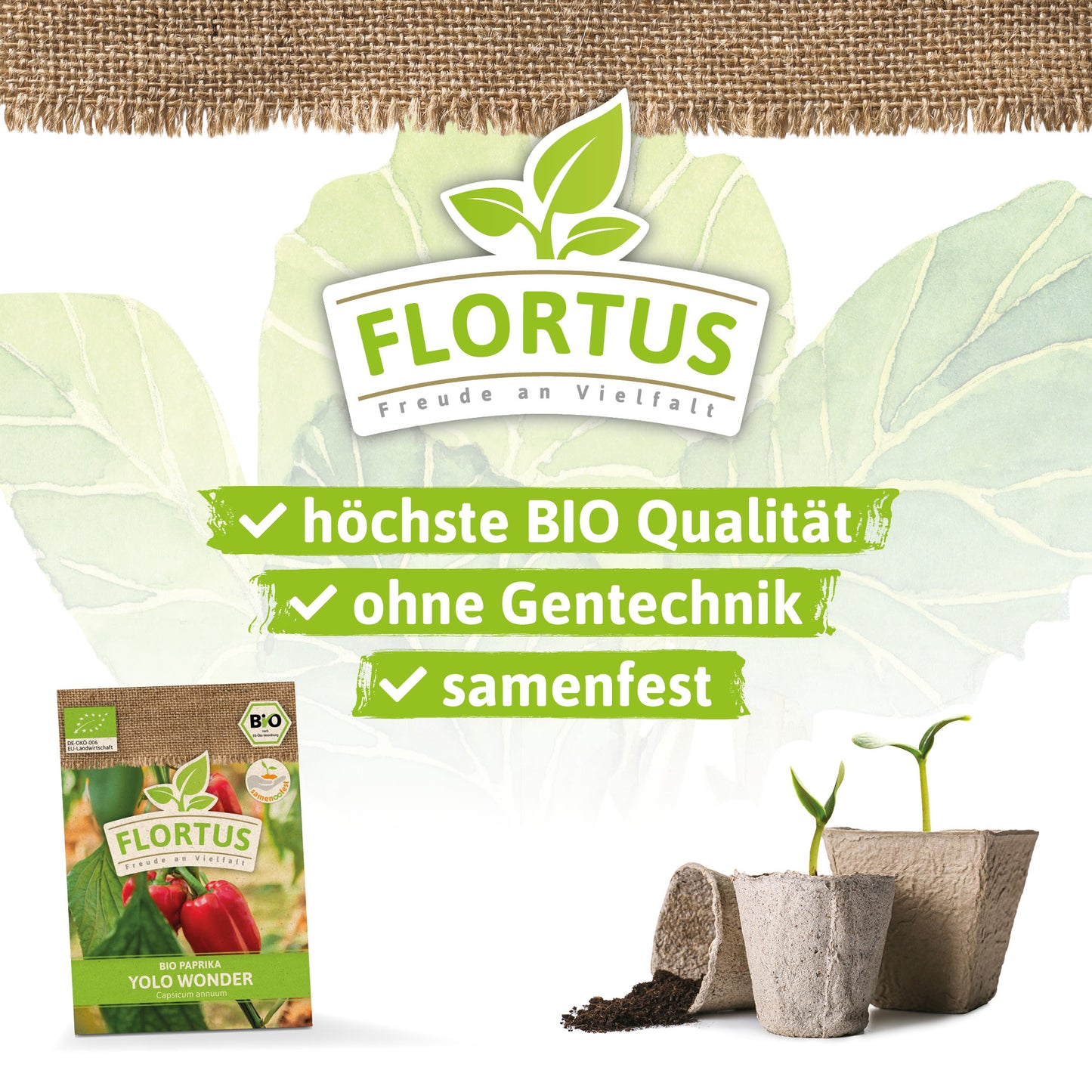 Artikelbild 3 von "BIO Paprika Yolo Wonder" aus der Kategorie Paprikasamen