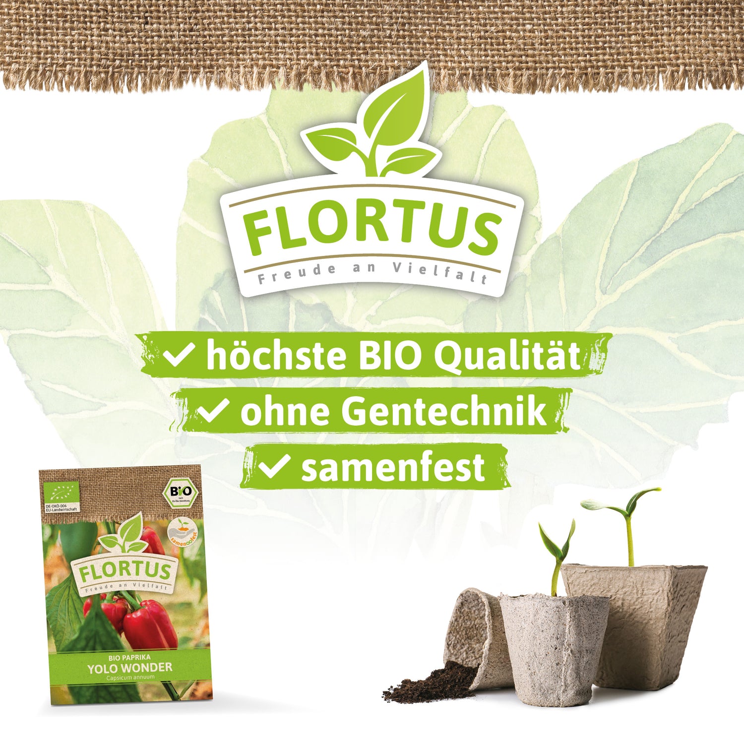 Artikelbild 3 von "BIO Paprika Yolo Wonder" aus der Kategorie Paprikasamen