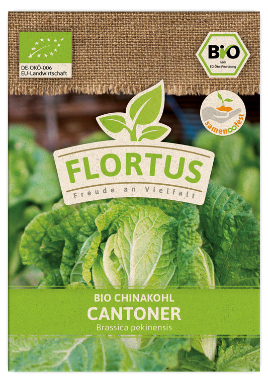 Chinakohl Cantoner | BIO Chinakohlsamen von FLORTUS