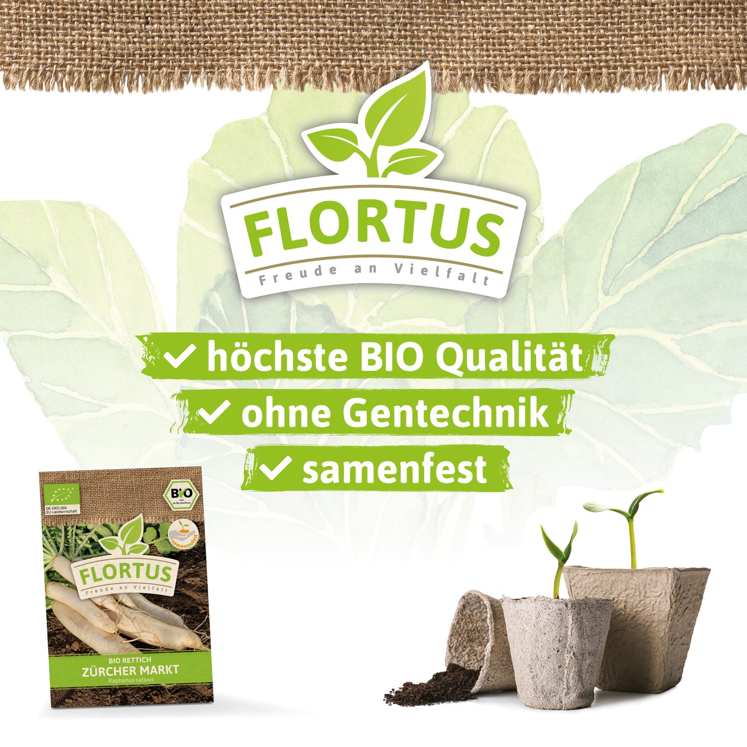 Artikelbild 3 von "BIO Rettich Zürcher Markt" aus der Kategorie Rettichsamen