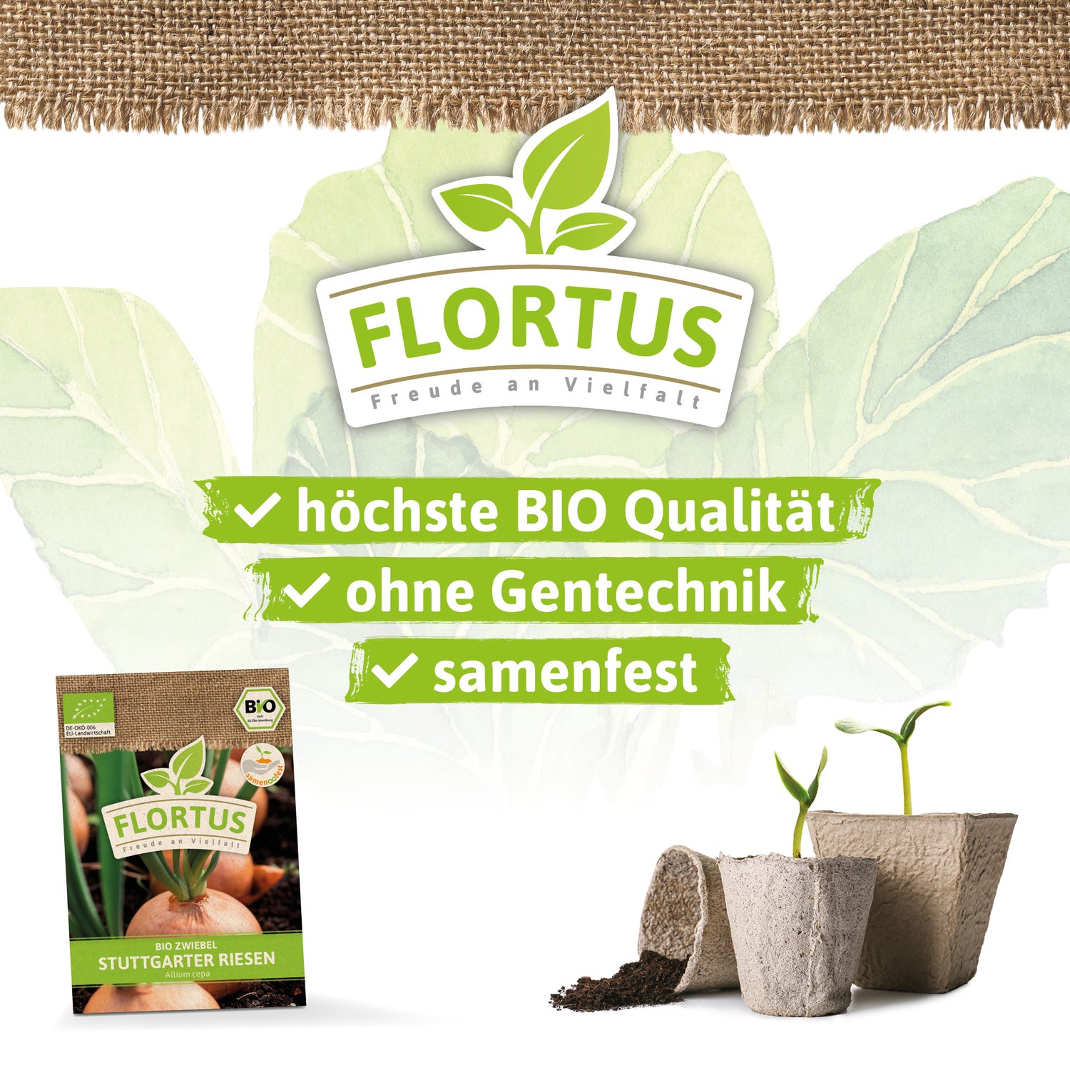 Artikelbild 3 von "BIO Zwiebel Stuttgarter Riesen" aus der Kategorie Zwiebelsamen