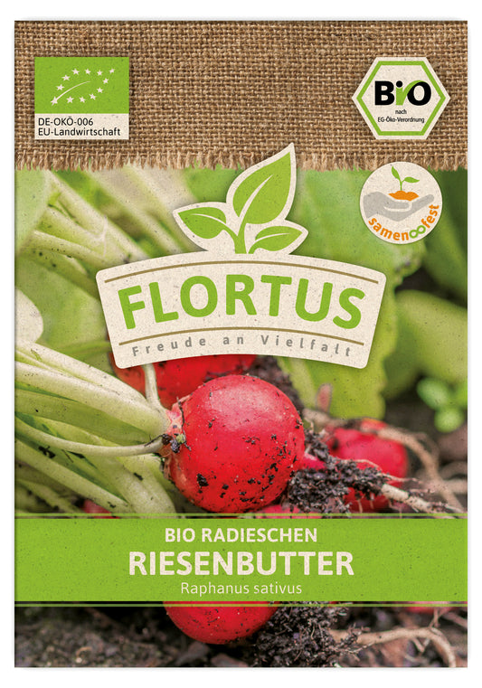 Artikelbild 1 von "BIO Radieschen Riesenbutter" aus der Kategorie Radieschensamen