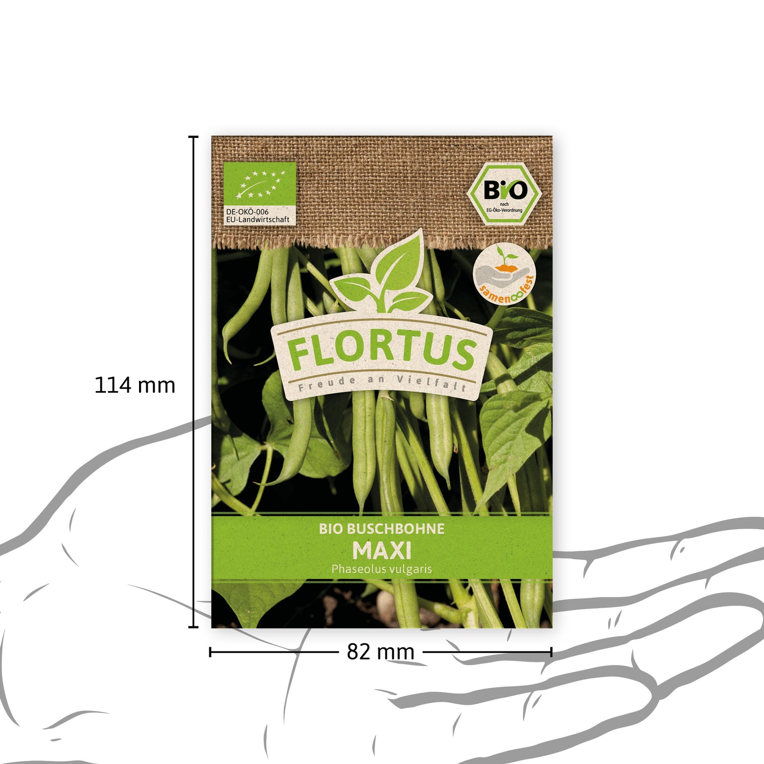 Artikelbild 4 von "BIO Buschbohne Maxi" aus der Kategorie Buschbohnensamen