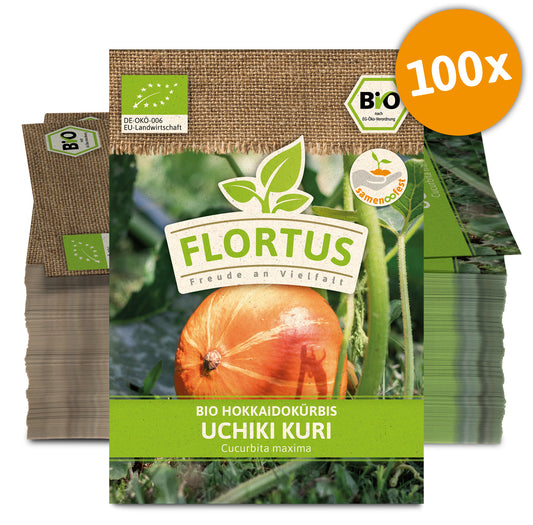 Hokkaidokürbis Uchiki Kuri (100 Stück) | BIO Kürbissamen von FLORTUS
