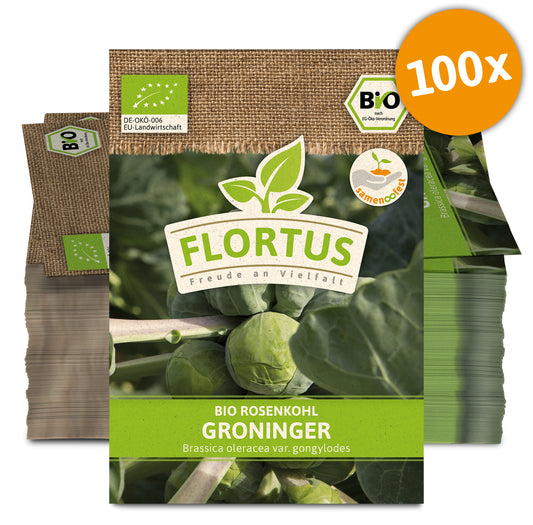 Rosenkohl Groninger (100 Stück) | BIO Kohlsamen von FLORTUS