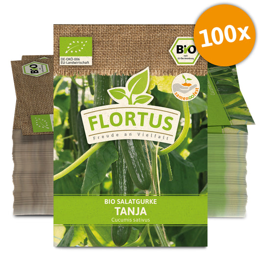 Salatgurke Tanja (100 Stück) | BIO Gurkensamen von FLORTUS