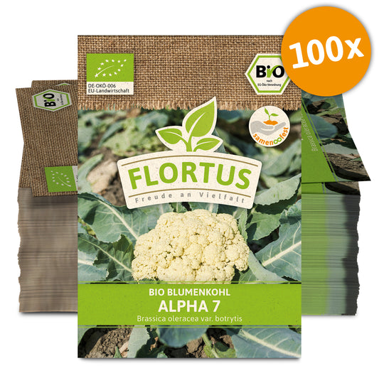Blumenkohl Alpha 7 (100 Stück) | BIO Kohlsamen von FLORTUS