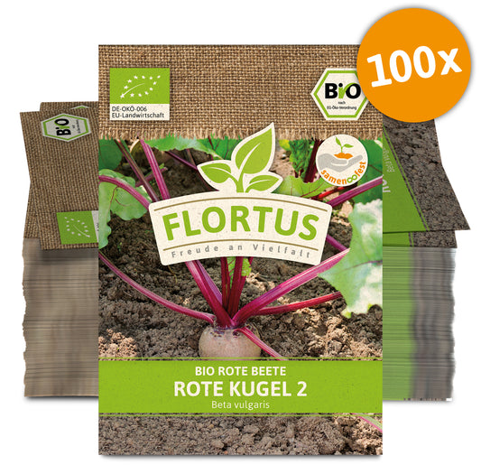 Rote Beete Rote Kugel 2 (100 Stück) | BIO Rote Beetesamen von FLORTUS
