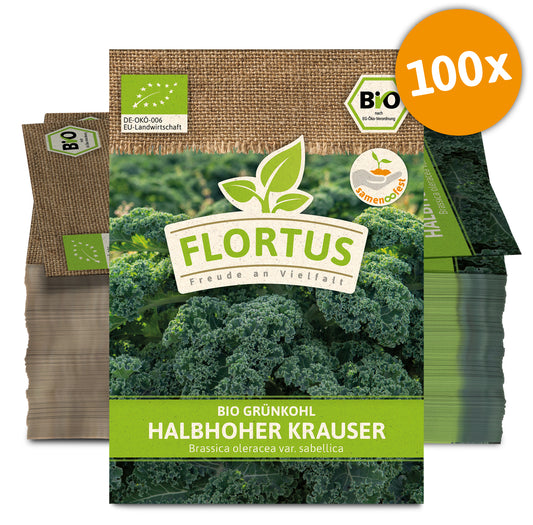 Grünkohl Halbhoher Krauser (100 Stück) | BIO Kohlsamen von FLORTUS