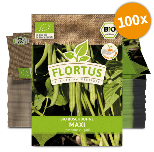 Buschbohne Maxi (100 Stück) | BIO Bohnensamen von FLORTUS