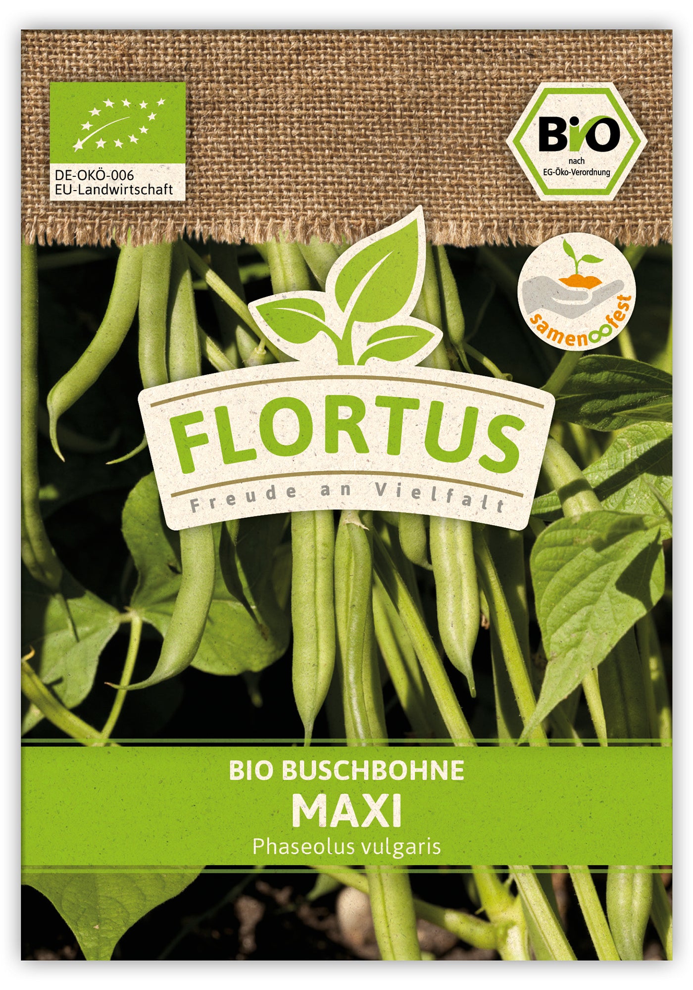 Buschbohne Maxi (100 Stück) | BIO Bohnensamen von FLORTUS