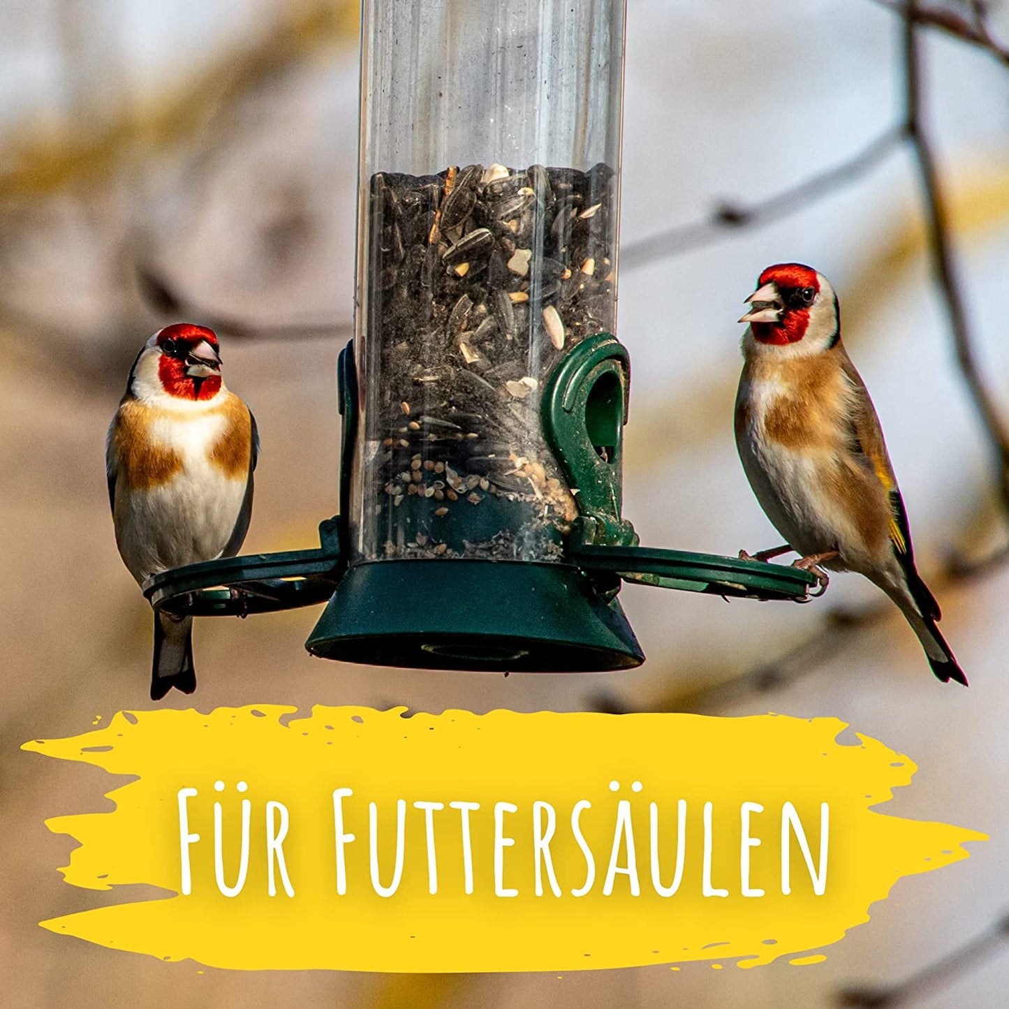 Artikelbild 4 von "BIO Wildvogel Futter (2 kg)" aus der Kategorie Wildvogelfutter