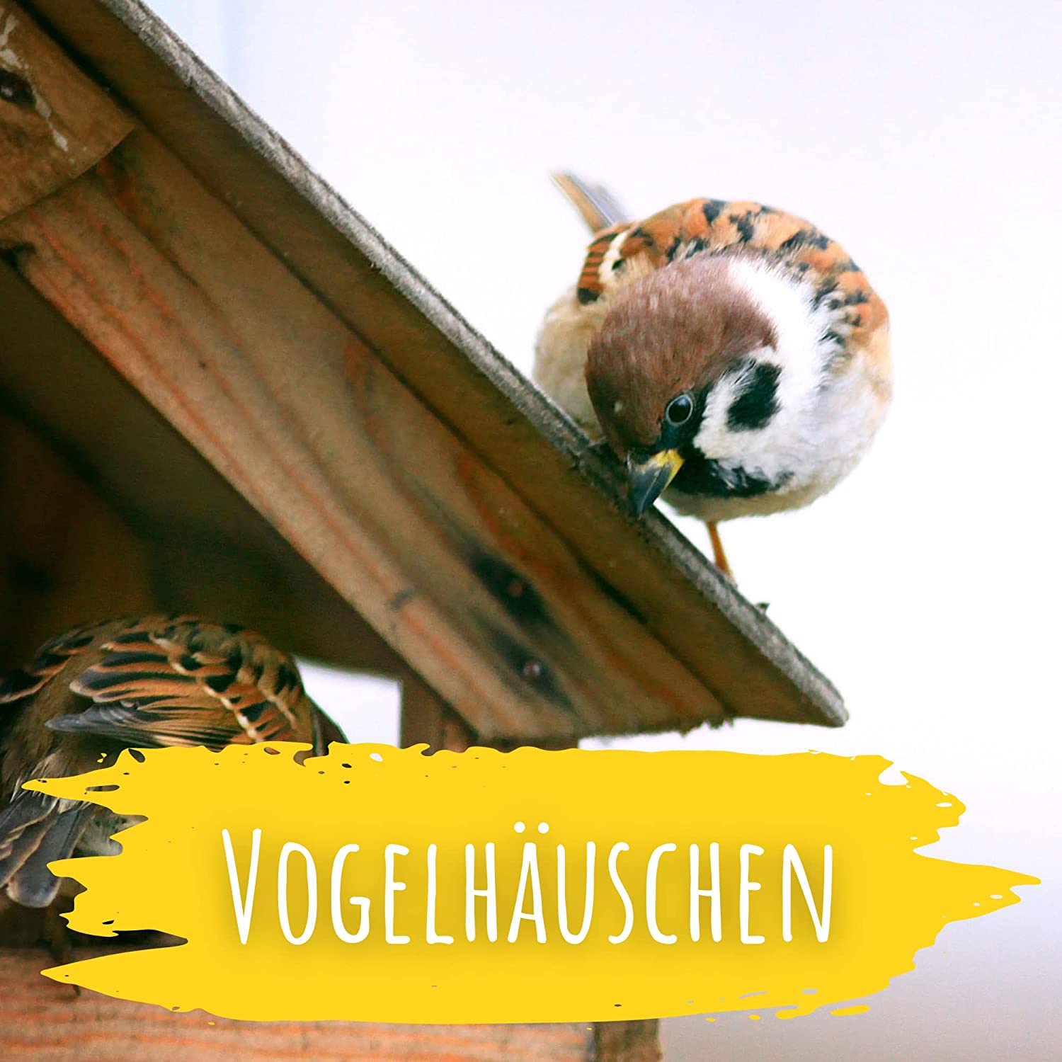 Artikelbild 5 von "BIO Wildvogel Futter (2 kg)" aus der Kategorie Wildvogelfutter
