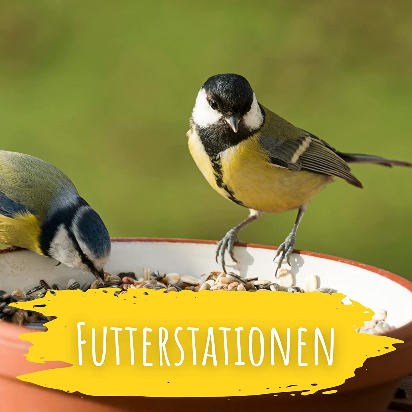 Artikelbild 6 von "BIO Wildvogel Futter (2 kg)" aus der Kategorie Wildvogelfutter