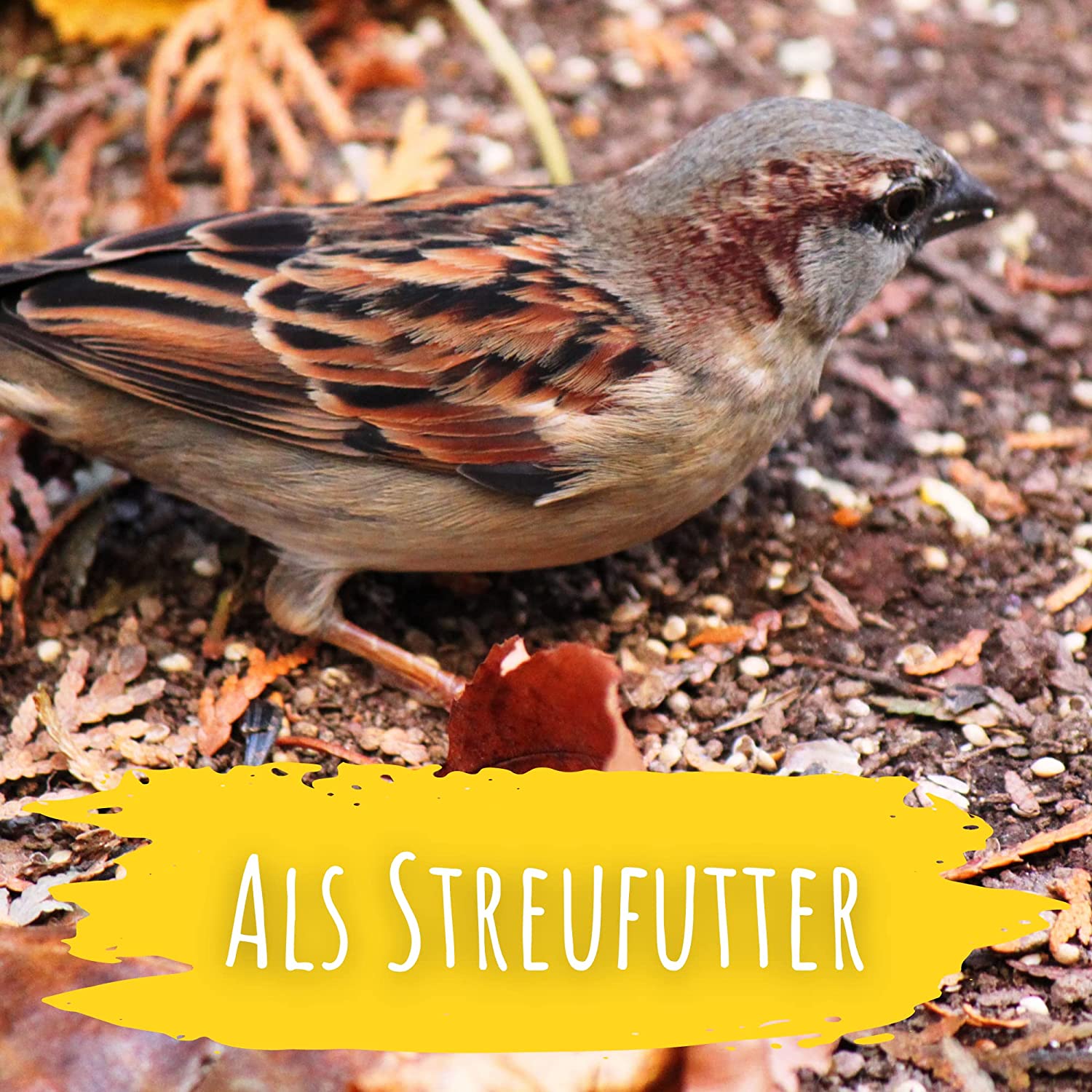 Artikelbild 7 von "BIO Wildvogel Futter (2 kg)" aus der Kategorie Wildvogelfutter