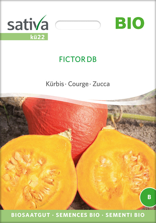 Artikelbild 1 von "BIO Kürbis Fictor DB" aus der Kategorie Kürbissamen