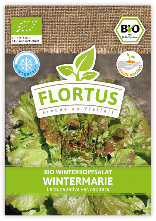 Winterkopfsalat Wintermarie | BIO Kopfsalatsamen von FLORTUS