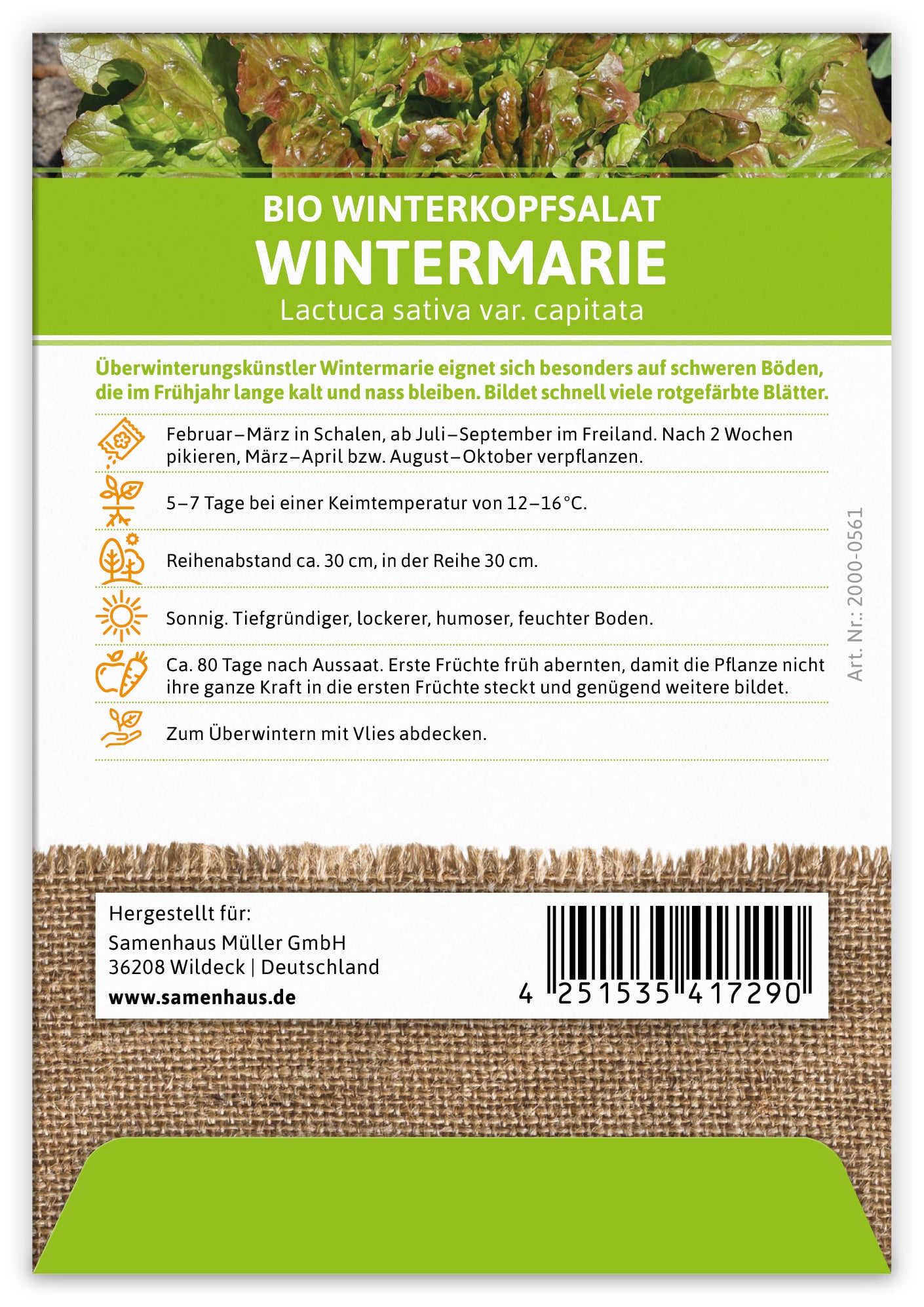 Artikelbild 2 von "BIO Winterkopfsalat Wintermarie" aus der Kategorie Kopfsalatsamen