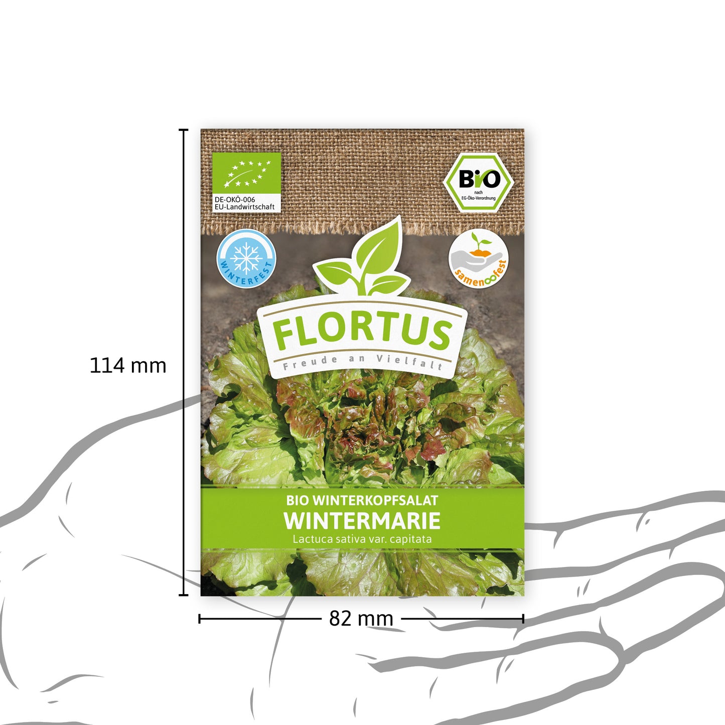 Artikelbild 4 von "BIO Winterkopfsalat Wintermarie" aus der Kategorie Kopfsalatsamen