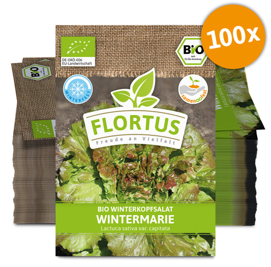 Winterkopfsalat Wintermarie (100 Tütchen) | BIO Kopfsalatsamen von FLORTUS