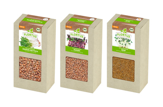 Keimsprossen Set "Scharf" mit 3 Sorten (600 g) | BIO Keimsprossen von FLORTUS