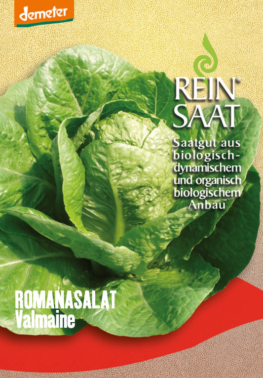 Artikelbild 1 von "BIO Romanasalat Valmaine" aus der Kategorie Romanasalatsamen