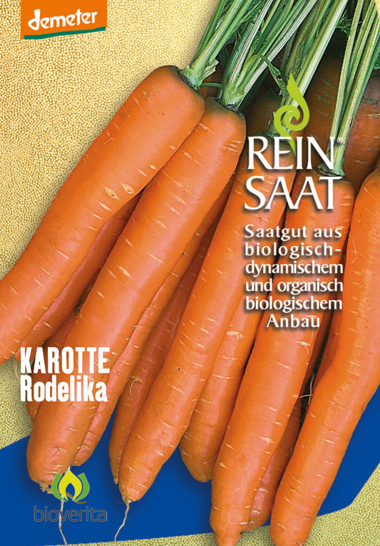Artikelbild 1 von "BIO Möhre Rodelika" aus der Kategorie Möhrensamen