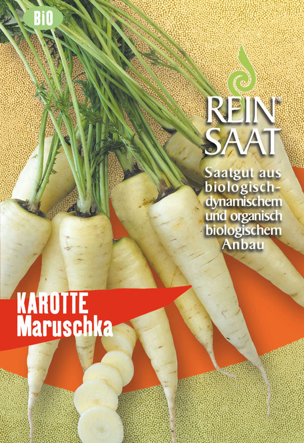 Möhre Maruschka